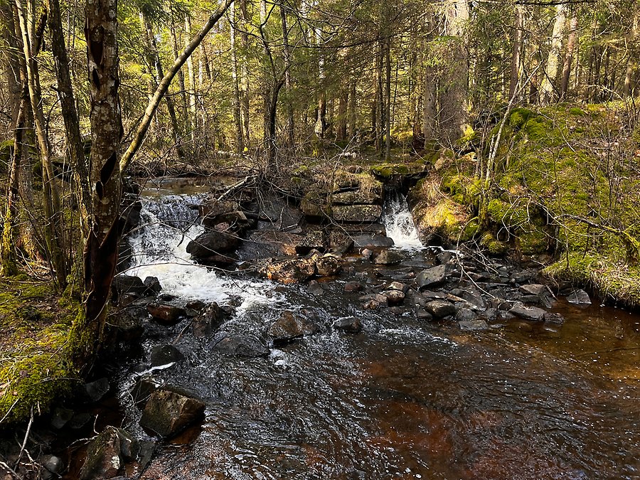 Bild från vattendrag i Kungälvs kommun