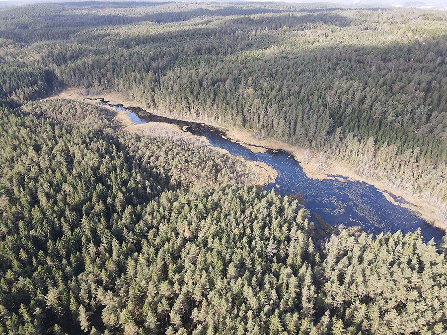 Område inom Svartåbäckens avrinningsområde som ska åtgärdas 