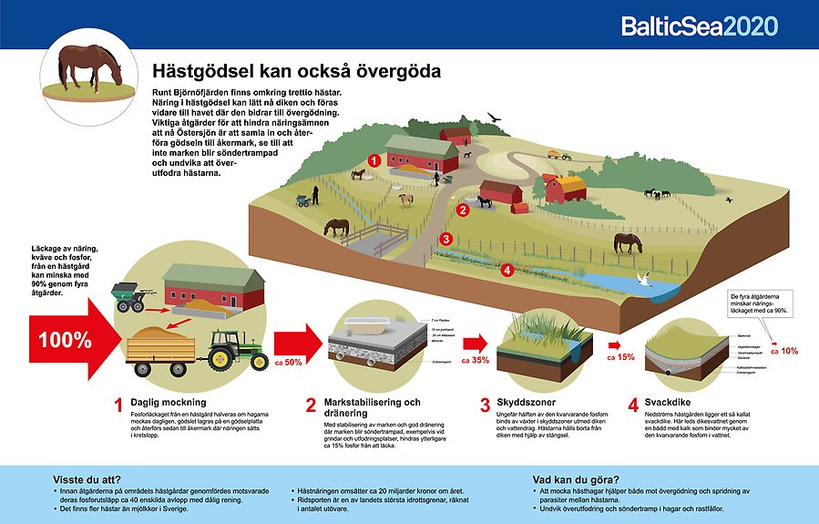 Illustration över möjliga åtgärder för att minska läckage av näring från hästgårdar