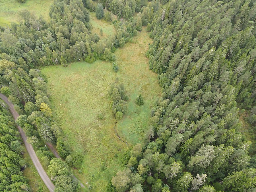 Område där våtmark planeras anläggas